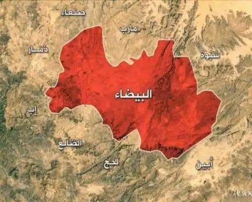 القوات المسلحة تطلق عملية عسكرية في البيضاء وتحرر عدد من المواقع في الزاهر